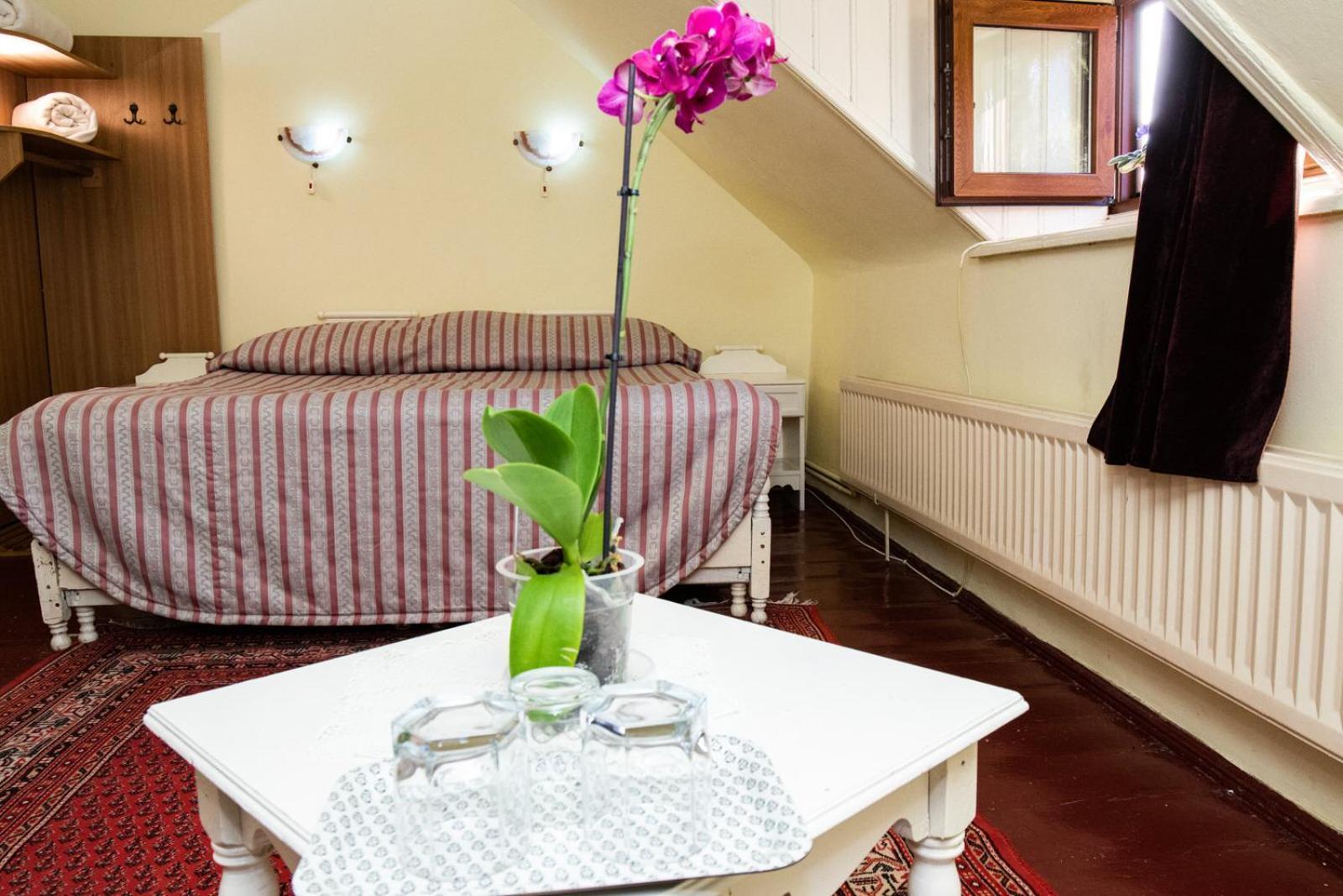 Vila Retezat Sinaia Phòng bức ảnh
