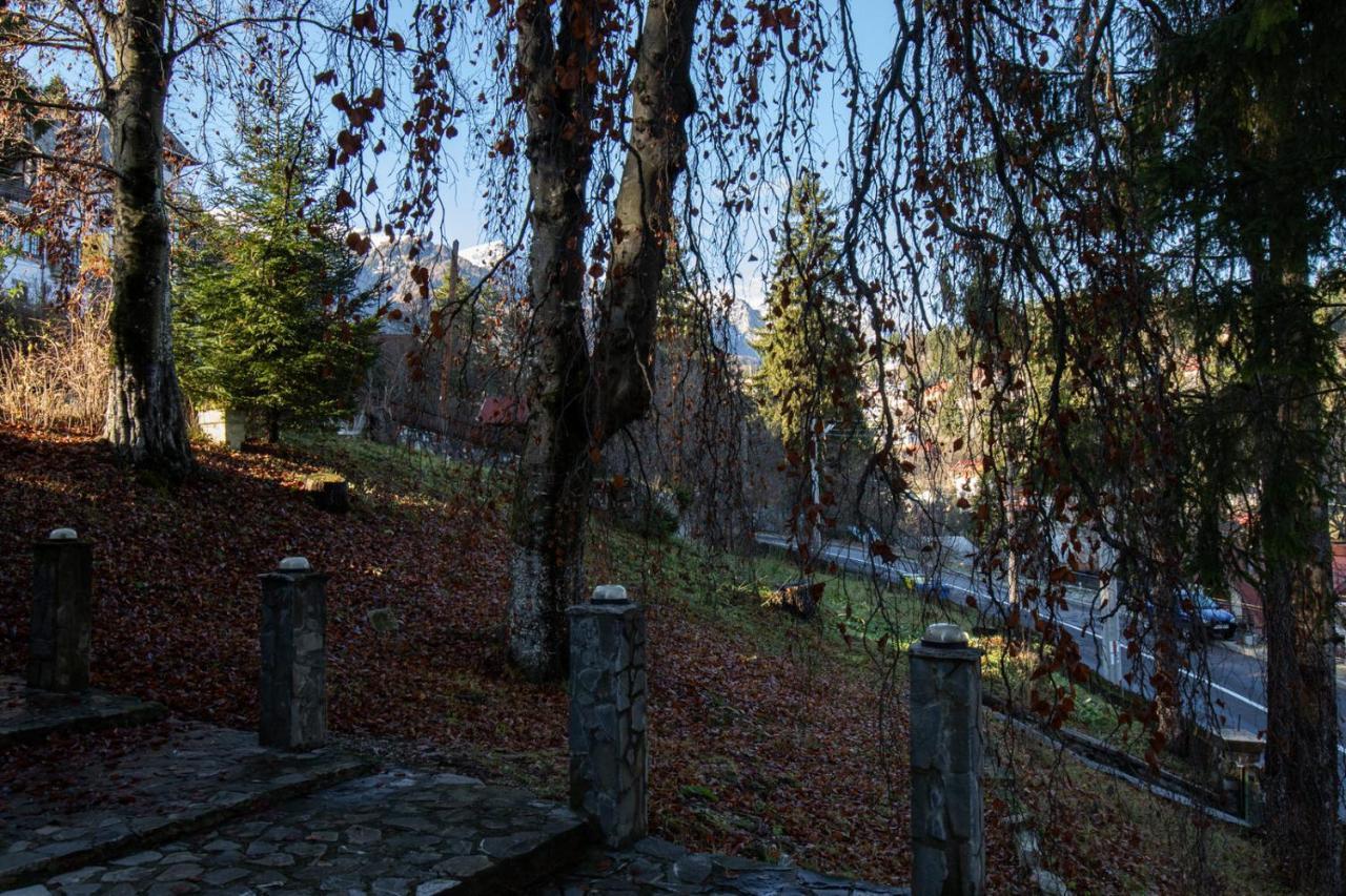 Vila Retezat Sinaia Ngoại thất bức ảnh