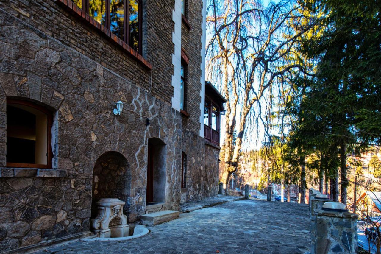 Vila Retezat Sinaia Ngoại thất bức ảnh