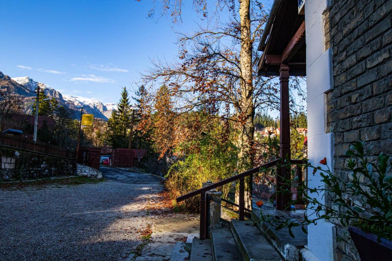 Vila Retezat Sinaia Ngoại thất bức ảnh
