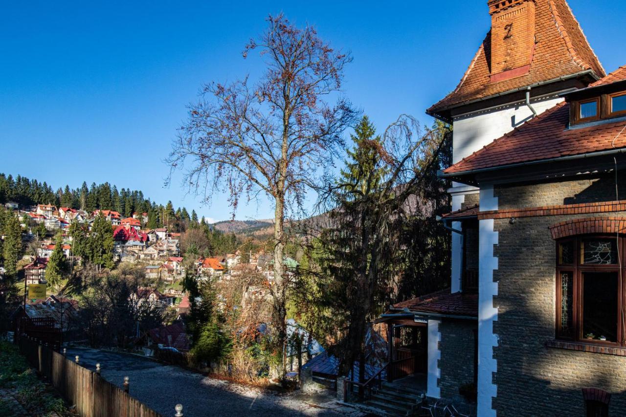 Vila Retezat Sinaia Ngoại thất bức ảnh