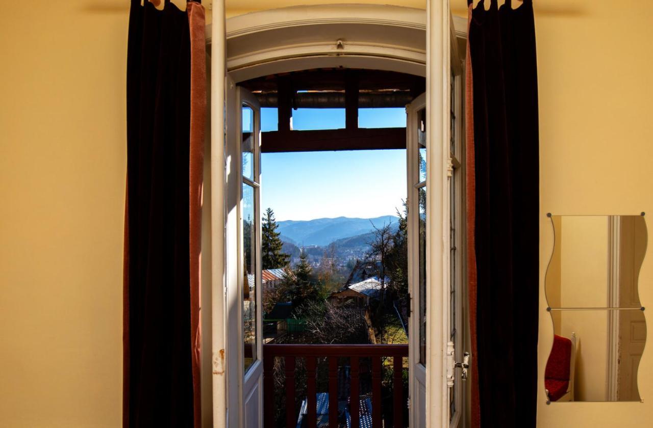 Vila Retezat Sinaia Phòng bức ảnh